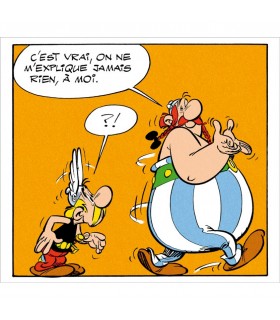 Digigraphie Astérix C'est Vrai