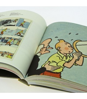 Hergé - Catalogue de l'exposition au Grand Palais