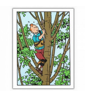 Carte Postale Double - Tintin Dans l'Arbre