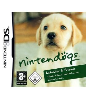CEV-6176-nintds0f.jpeg