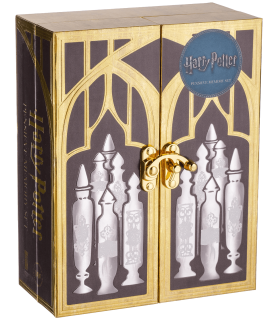 Coffret Pensine - Harry Potter