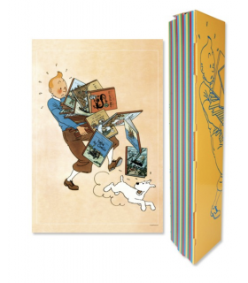 Affiche de Tintin Tenant des Albums