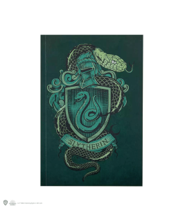 Carnet Serpentard - 120 pages