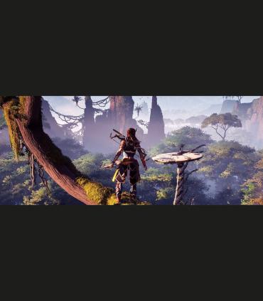 Horizon Zero Dawn - PS4